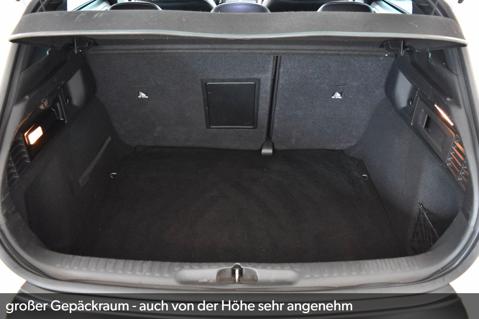 DS Automobiles DS4 BlueHDi 120 SoChic *EURO6*~Mas.~Navi~T-Leder