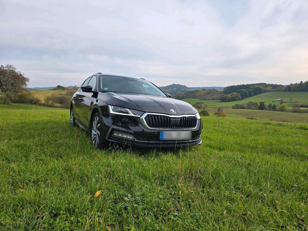 Image of Skoda Octavia