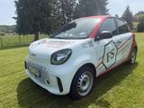 Smart MwSt-Ausweisbar - ForFour 60kW EQ Batterie 