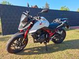 Honda Hornet CB750 Quickshifter, Koffer Griffheizung - Angebote