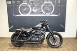Harley-Davidson Xl 883 N Sportster Top Seitl. Kennzeich. LED - Offers