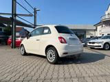 Fiat 500 Dolcevita 1.0 Hybrid *Pano Klimaauto PDC Alu - Fiat 500 Tageszulassungen