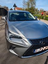 Lexus NX 350h - silberne Lexus NX-Serie