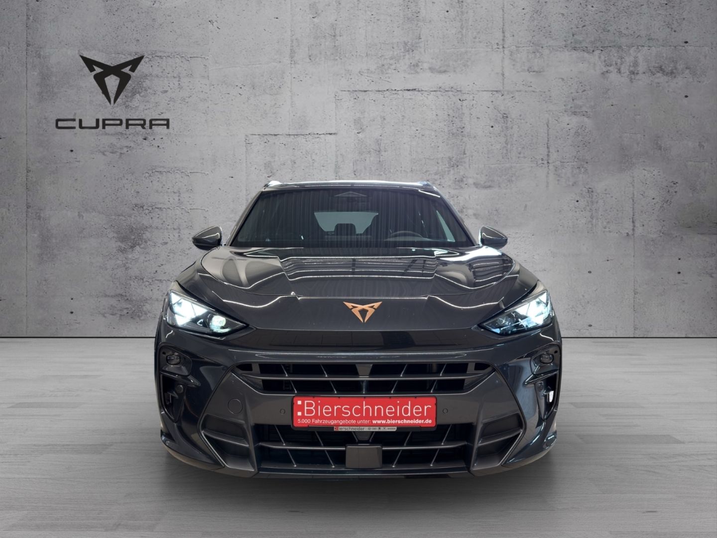 Cupra Terramar 2.0 TSI 4Drive DSG HD-MATRIX HUD NAVI I imagem 2