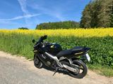Honda CBR 600F - 2006 CBR 600 F