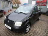 Fiat Panda 1.1 8V Active,Klima,EFH. - Fiat Panda aus 2005