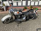 Harley-Davidson Softail FLSTC, FLSTF, FLSTN