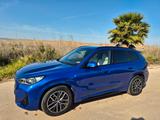 BMW X1 sDrive18d M Sportpaket ACC Pano Hifi Matrix