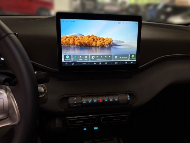 BYD DOLPHIN SURF