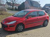 Peugeot 307 Filou 90 Filou - Peugeot 307: Filou