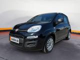 Fiat Panda (319) Base (2020->) - gebrauchte Fiat Panda aus dem Jahr 2022