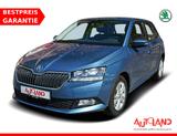 Skoda Fabia 1.0 Active Kamera Sitzheizung SmartLink - Skoda Fabia: Active