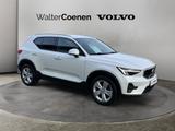 Volvo XC40 B3 B DKG Core Winter-Paket getönte Scheiben - Volvo aus 2023