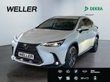 Lexus NX 450h+ E-FOUR Business Line *LED*KAMERA°*ACC*N - weiße Lexus NX 450h