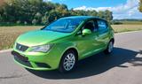 Seat Ibiza - 4/5Türer - grün - TÜV neu! - Seat: Ibiza Türer
