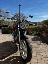 Suzuki VX800 - Angebote entsprechen deinen Suchkriterien