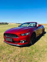 Ford Mustang 5.0 V8 GT Cabrio EU Modell 1.Hand 