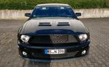 Ford Mustang Shelby GT500 - Ford Mustang aus 2006: Coupe