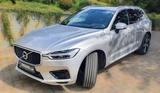 Volvo XC60 T8 AWD Recharge R Design, Luftfederung, AHK - Volvo XC60 Recharge Gebrauchtwagen