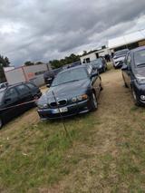 BMW E39 530d taush - BMW 530 aus 2001: 530d