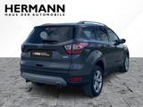 Ford Kuga 1.5 EcoBoost Titanium AHK*LED*NAVI*SHZ*SYNC - Ford Kuga mit Anhängerkupplung