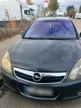 Opel Signum 1.9 cdti - Opel Signum: 1.9