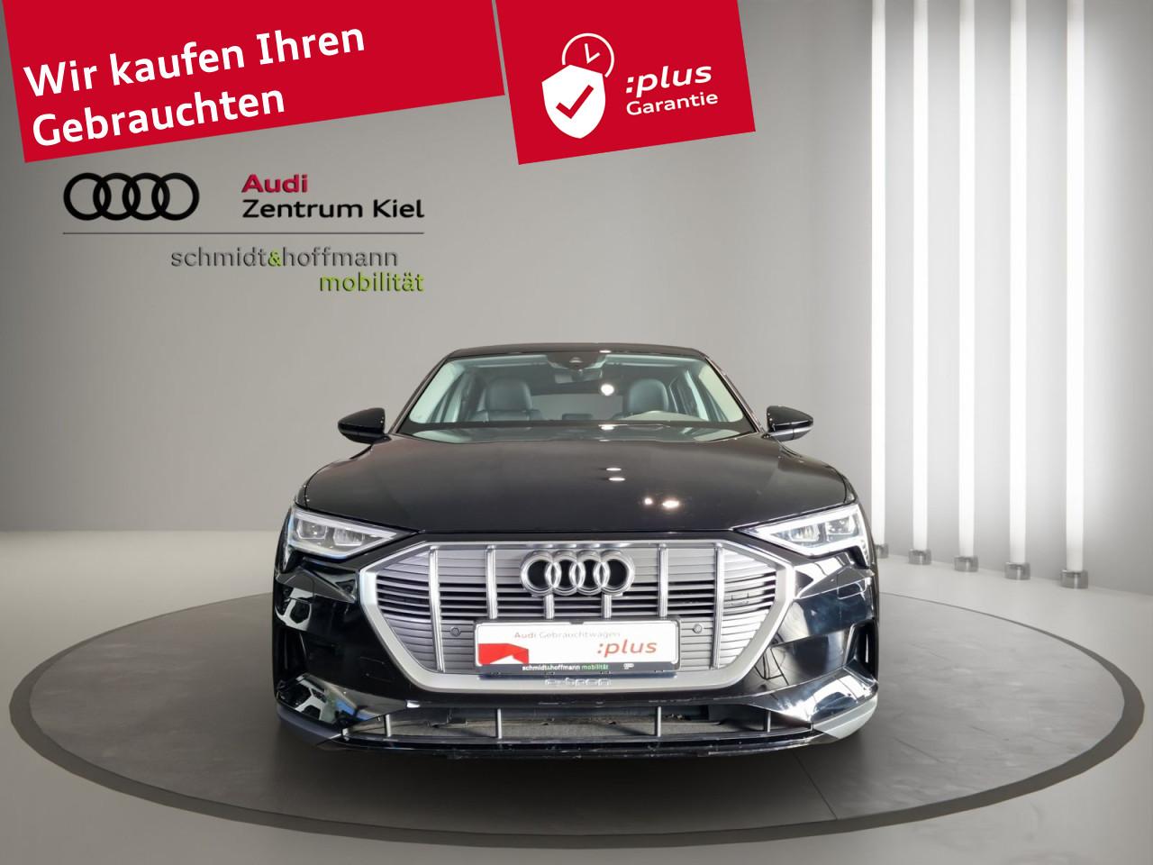 Audi e-tron 50 quattro LED ACC RFK Sitzhz DAB