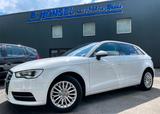 Audi A3 Sportback ambiente, Xenon, Pano, GRA, SHZ - Audi A3: Weiß, Schiebedach