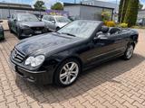 Mercedes-Benz CLK 200 K Cabrio Avantgarde | Automatik | 99tkm  - Mercedes-Benz CLK aus dem Jahr 2009