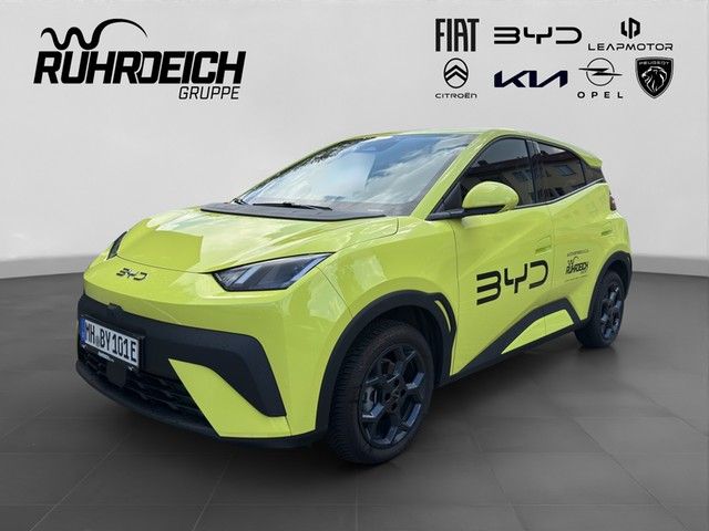 BYD DOLPHIN SURF
