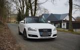 Audi A3 1.8 TFSI Ambition Cabriolet Ambition - Audi A3: Cabrio, 1.8