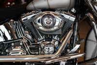 Harley-Davidson FLSTN Softail Deluxe Chicano Custom