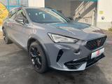 Cupra Formentor VZ 4Drive 2.0 TSI 4Drive - Cupra Formentor aus 2020