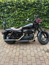 Harley-Davidson Sportster 1200 Custom - HARLEY-DAVIDSON SPORTSTER 1200 CUSTOM