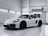 Porsche Cayman GTS GTS