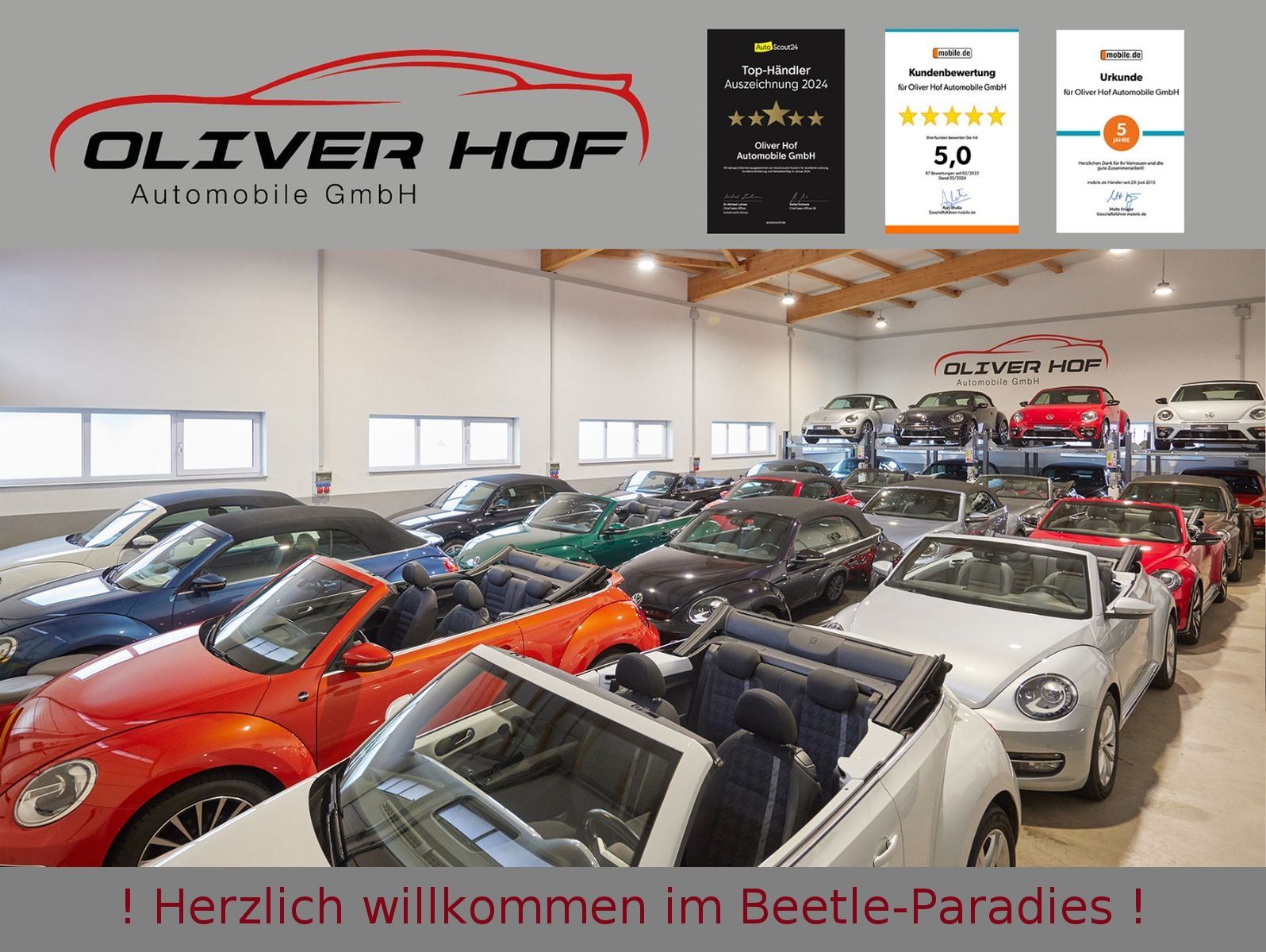 Volkswagen Beetle 1.2TSI Sound Plus Fender Xenon AppCon. SH foto 2