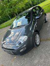 Fiat Punto 1.2 8V - - Fiat Punto von privat