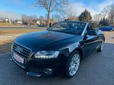 Audi A5 Cabriolet 2.0 TFSI - Audi A5 aus 2011: Cabrio
