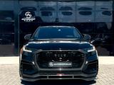 Audi RSQ8-R 1-125 4.0 TFSI quattro Carbon - schwarze Audi RSQ8
