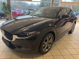Mazda CX-30 2025 Takumi 2.0L e-SKYACTIV-X 186PS *Leder - Mazda CX-30 Takumi mit Hybrid-Antrieb (Benzin/Elektro)
