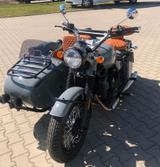 Andere Chiang Jiang CJ650 Dynasty Gespanne