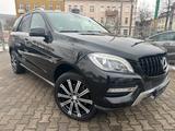 Mercedes-Benz ML 350 BlueEfficiency / 8-fach bereift/ BI-XENON - Mercedes-Benz ML 350 Gebrauchtwagen in Berlin