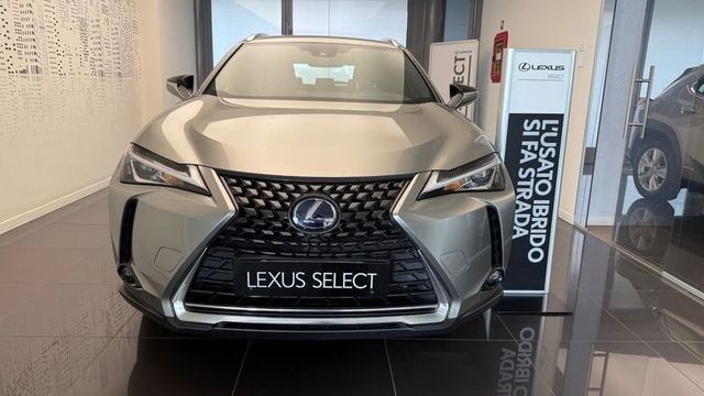 Lexus UX UX 250 H Hybrid Business