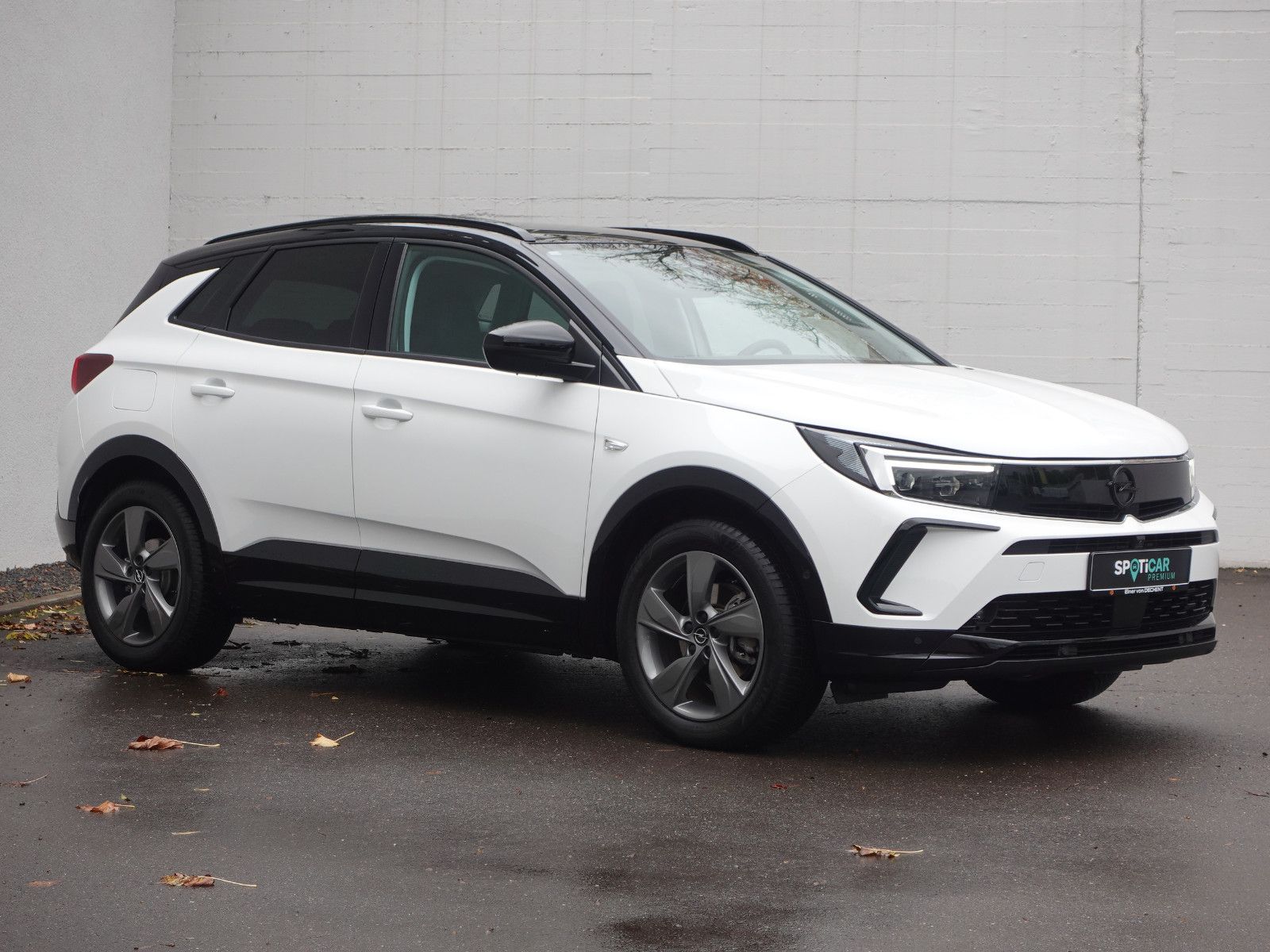 Fahrzeugabbildung Opel Grandland GS 1.2T AUTOMATIK,AHK,Navi,MatrixLED