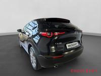 Mazda CX-30 Selection 2WD-HUD-Navi-Leder-Memory Sitze-