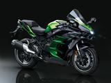 Kawasaki Ninja H2 SX SE MY2022 - Aktionspreis - KAWASAKI MOTORRAD H2