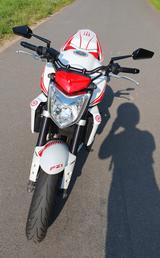 Yamaha Fz 1 N - YAMAHA FZ1N