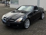Mercedes-Benz SLK Roadster 200 K Sport Edition-Shz-Leder-Klima - Mercedes-Benz SLK-Klasse: Sport Edition