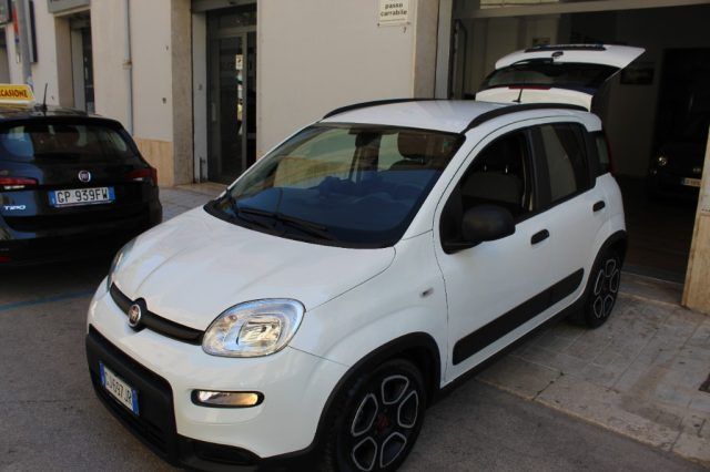 Image of Fiat Panda