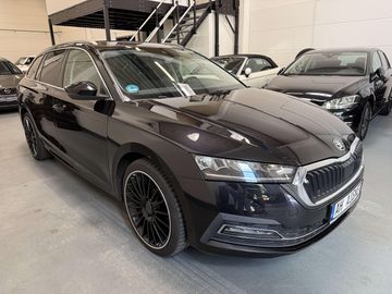 Skoda Octavia - 3